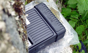 NextoDI Datensicherung auf Felsen vor Wiese